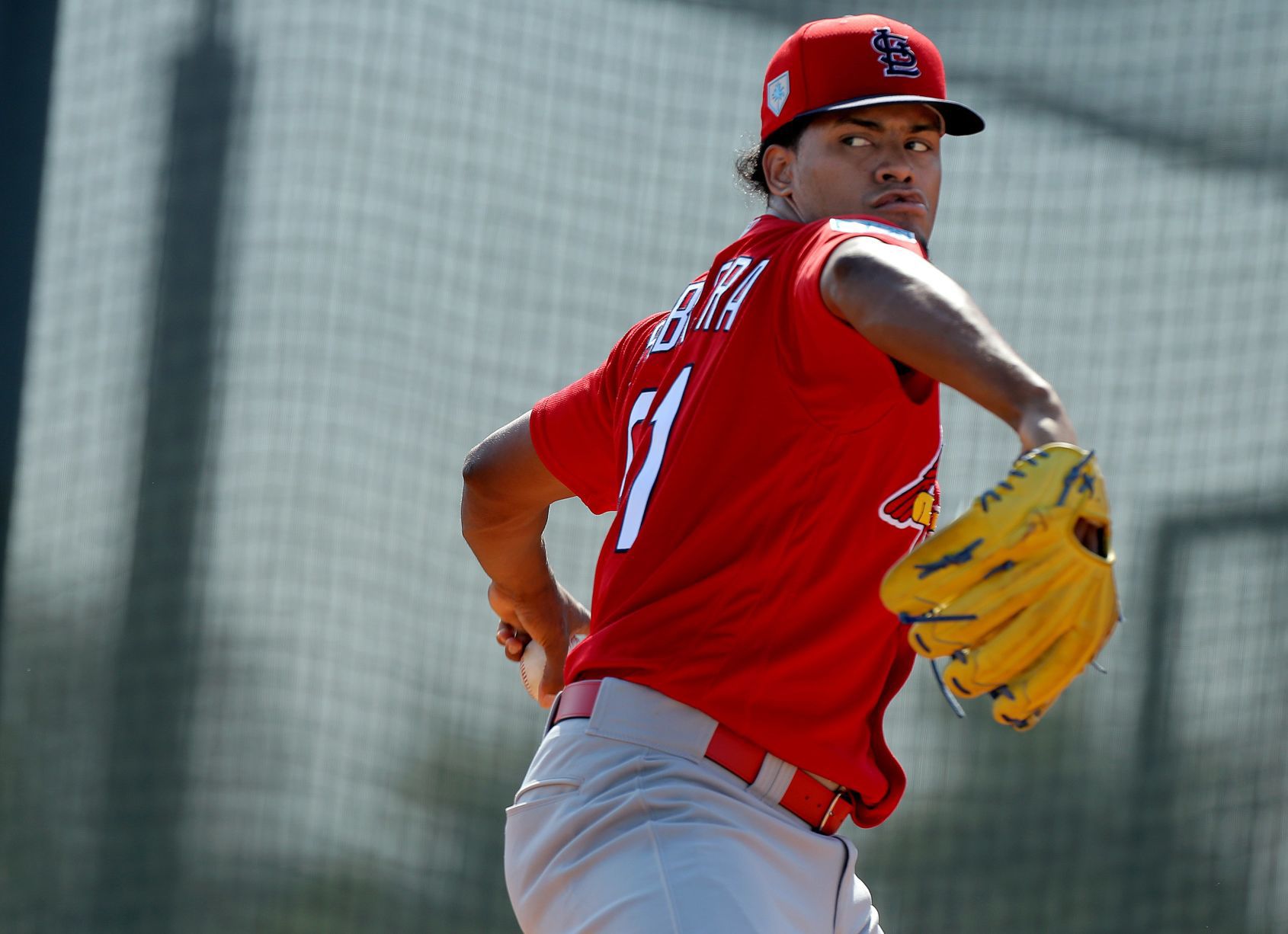 2019 Cardinals spring training